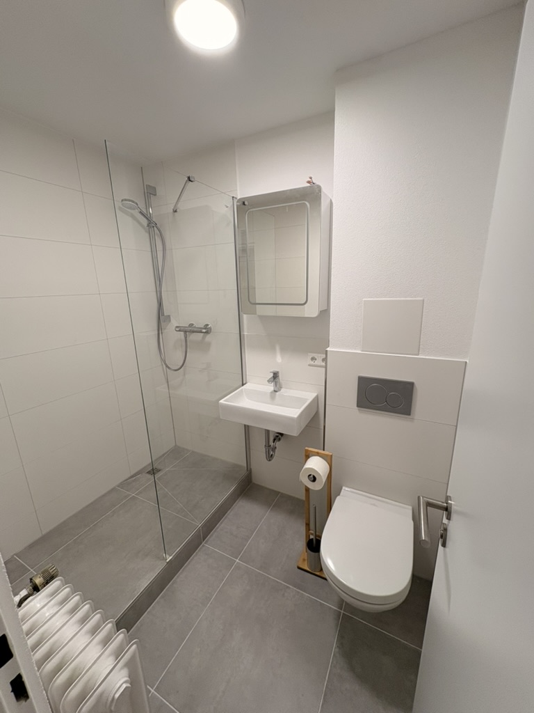 Neues Duschbad des kernsanierten Apartments in Obereisesheim
